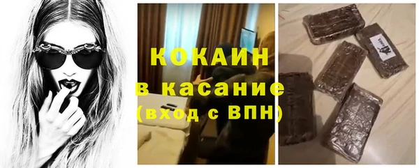 твердый Елизово