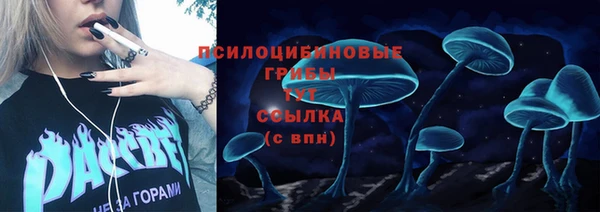 стаф Абаза