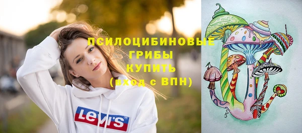 спайс Елабуга