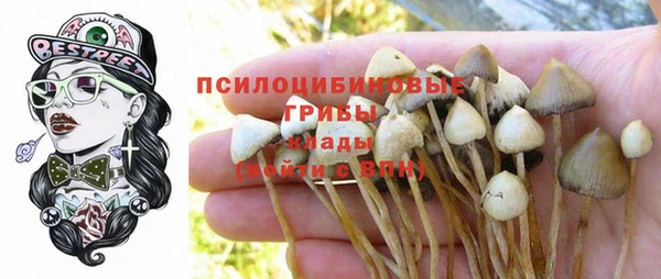 спиды Алексеевка