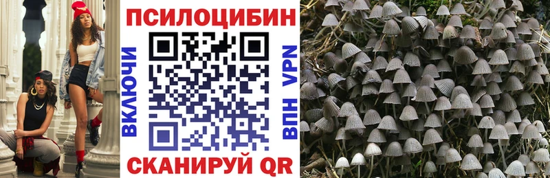 kraken онион  купить закладку  Вологда  Галлюциногенные грибы мицелий 