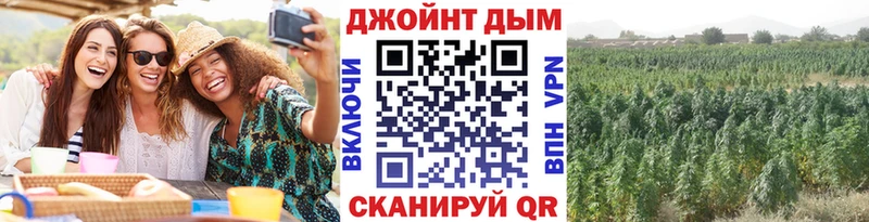 где продают наркотики  Вологда  Марихуана Ganja 